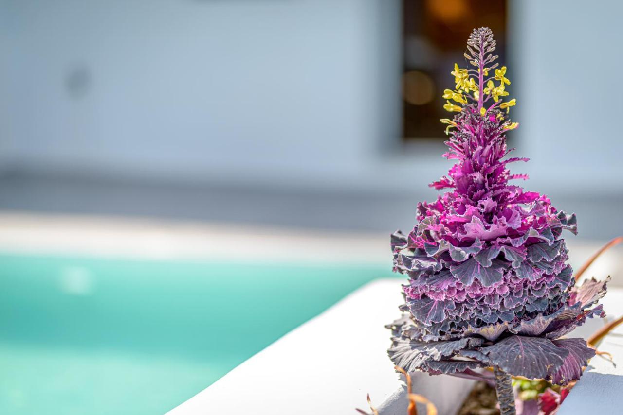 Siete Mares Luxury Suites Ημεροβίγλι Εξωτερικό φωτογραφία